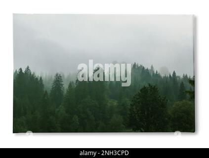 Foto stampata su tela, sfondo bianco. Pittoresca vista della foresta di montagna in mattina nebbia Foto Stock