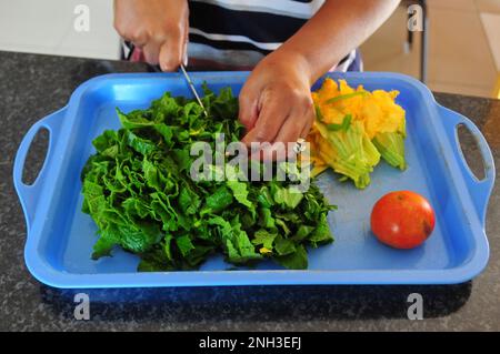 Le foglie di zucca vengono utilizzate per preparare un pasto sano in Sudafrica. L'agricoltura biologica è comune nelle case rurali in campagna Foto Stock