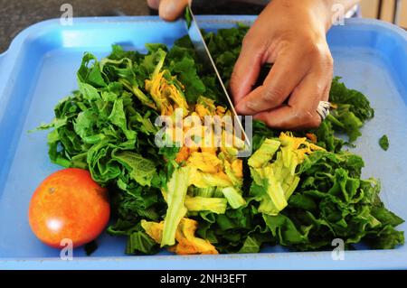 Le foglie di zucca vengono utilizzate per preparare un pasto sano in Sudafrica. L'agricoltura biologica è comune nelle case rurali in campagna Foto Stock