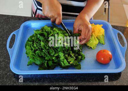 Le foglie di zucca vengono utilizzate per preparare un pasto sano in Sudafrica. L'agricoltura biologica è comune nelle case rurali in campagna Foto Stock