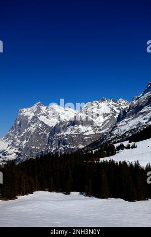 Inverno con vista sulla neve sul monte Wetterhorn, località sciistica di Grindelwald; patrimonio dell'umanità dell'UNESCO, Alpi svizzere, Jungfrau - Aletsch; Oberland Bernese; S Foto Stock