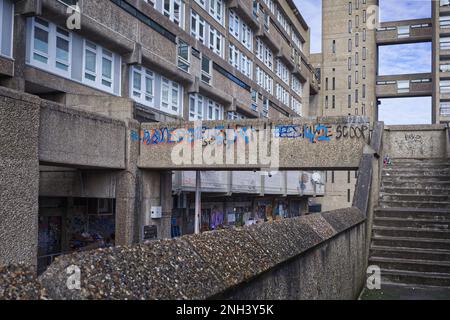 Trellick Tower sulla Cheltenham Estate Foto Stock