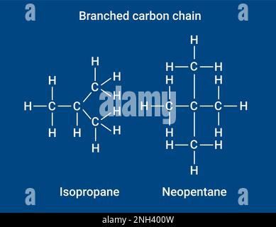 Struttura chimica della catena di carbonio ramificata Illustrazione Vettoriale