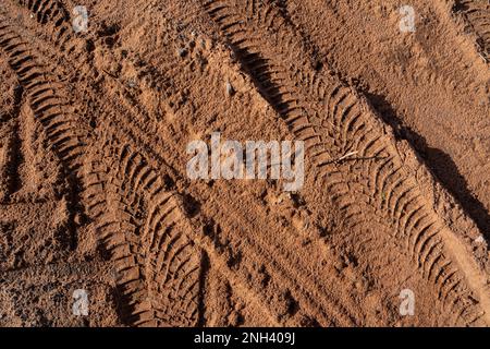 Tracce di pneumatici dei veicoli in sabbia marrone Foto Stock