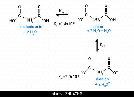 Acido citrico molecola, si trova negli agrumi, limoni e limette. Viene  utilizzato come additivo alimentare, agenti di pulizia, supplementi  nutrizionali. Strutturali Immagine e Vettoriale - Alamy