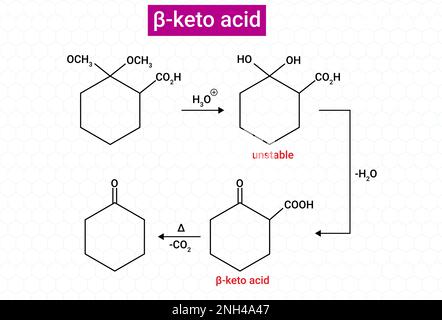 Struttura chimica del beta keto acido Illustrazione Vettoriale