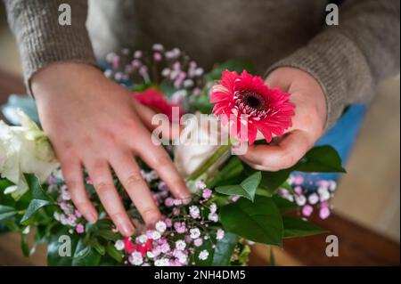 Fiorista femminile sta mettendo insieme bellissimi fiori primaverili in un vaso al coperto, senza volto visibile Foto Stock