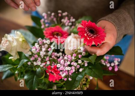 Fiorista femminile sta mettendo insieme bellissimi fiori primaverili in un vaso al coperto, senza volto visibile Foto Stock