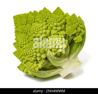 Romanesco broccoli isolato su fondo bianco Foto Stock