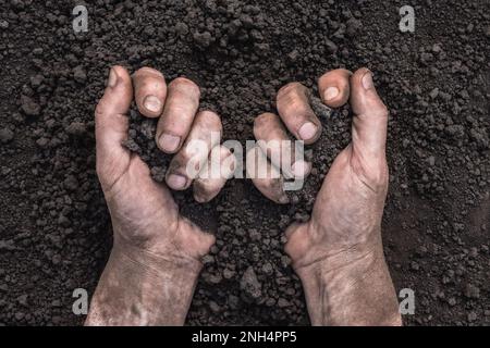 Manciata di mani di sporcizia che tengono le mani di suolo toccare il terreno. Mani di coltivatore piene di suolo campo terra organica. Terreno fertile agricoltura di campo Foto Stock
