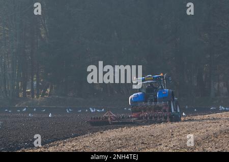 Un trattore New Holland blu con aratro reversibile e erpice a disco in funzione al sole, con legno di bosco in ombra Foto Stock