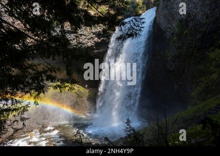 Cascata nel mezzo della foresta della Columbia Britannica Foto Stock