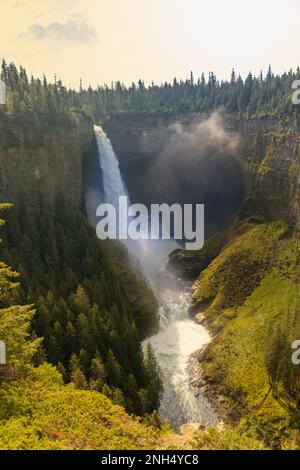 Cascata nel mezzo della foresta della Columbia Britannica Foto Stock