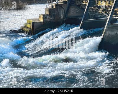 Acqua bianca fluente veloce sul Tamigi a Hambledon Weir vicino a Henley-on-Thames, Oxfordshire Inghilterra, Regno Unito Foto Stock