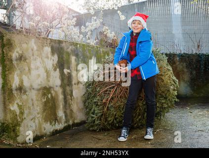 Ragazzo in cappello di Santa portare a casa albero di Natale per le celebrazioni Foto Stock
