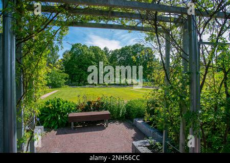 Fiori di Hemerotsallis giallo-arancio, panca e prato verde e costruzione di impianti di arrampicata nei Giardini Botanici Kaisaniemi di Helsinki Foto Stock