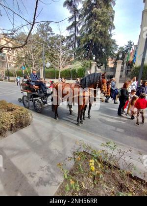 Granada, Spagna; 19 febbraio 2023: Famiglie con bambini che si godono una carrozza trainata da cavalli in una mostra sulle strade di Granada (Spagna) Foto Stock