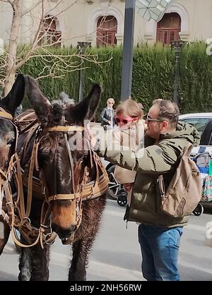 Granada, Spagna; 19 febbraio 2023: Famiglie con bambini che si godono una carrozza trainata da cavalli in una mostra sulle strade di Granada (Spagna) Foto Stock