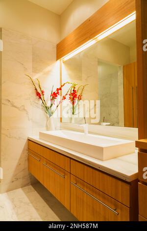 Armadio Douglas in legno di abete con ripiano in marmo bianco e lavabo rettangolare in bagno con pavimento in marmo e pareti all'interno di un lussuoso condominio. Foto Stock