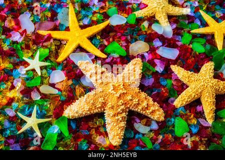 Stelle marine su parti colorate di vetro di mare rotto indossato liscio dall'Oceano Foto Stock