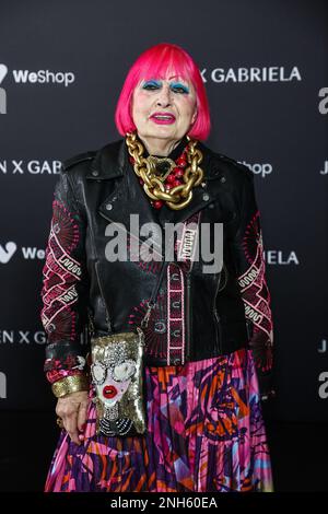 Londra, Regno Unito. 19th Feb, 2023. Zandra Rhodes partecipa al Julien Macdonald x Gabriela Gonzalez London Fashion Week Show alla Freemason's Hall di Londra. (Foto di Brett Cove/SOPA Images/Sipa USA) Credit: Sipa USA/Alamy Live News Foto Stock