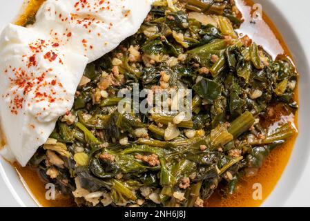 Tradizionale pasto turco di spinaci con riso e carne macinata con yogurt su piatto di porcellana bianca Foto Stock