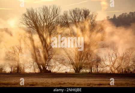 Riedlingen, Germania. 21st Feb, 2023. Il sole che sorge colora la nebbia mattutina che si è formata sul Danubio nella retroilluminazione giallastra. Credit: Thomas Warnack/dpa/Alamy Live News Foto Stock