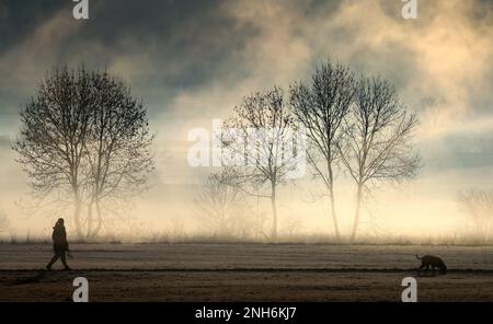 Riedlingen, Germania. 21st Feb, 2023. Una donna cammina con il suo cane, mentre sullo sfondo il sole del mattino colora la nebbia di terra giallastra. Credit: Thomas Warnack/dpa/Alamy Live News Foto Stock