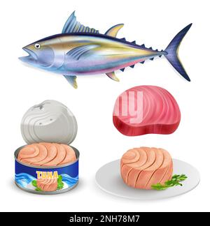 Icona realistica tonno set carcassa di pesce bistecca cotta pezzo di carne crudo e inscatolato vettore illustrazione Illustrazione Vettoriale