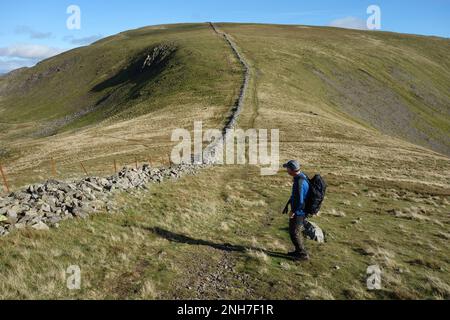 Uomo in piedi / guardando su sentiero da muro di pietra che conduce al Wainwright Scoat è caduto dal col con Haycock Wasdale, Lake District National Park, Foto Stock