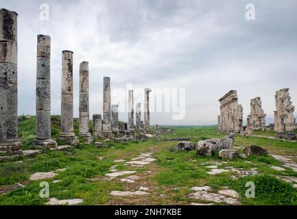 Il grande Colonnato ad Apamea antiche rovine romane, Governatorato di Hama, Siria Foto Stock