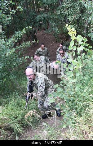 Circa 60 corpsmen dell'ospedale della marina hanno partecipato all'operazione che comanda la forza, l'esercitazione annuale di due settimane di addestramento, a Fort Drum. L'evento culminante del 21 luglio includeva le procedure tattiche di assistenza sul campo e di evacuazione medica con i reservisi che attraversavano un percorso ad ostacoli di lettiera. Il corso è stato sostenuto da cadri del Bridgewater-Vaccaro Medical Simulation Training Center (MSTC), del 10th Battle Aviation Brigade 3rd General Support Aviation Battalion (DUSTOFF) e da medici del 1st Brigade Combat Team e del 2nd Brigade Combat Team. (Foto di Mike Strasser, Fort Drum Garrison Public Affai Foto Stock