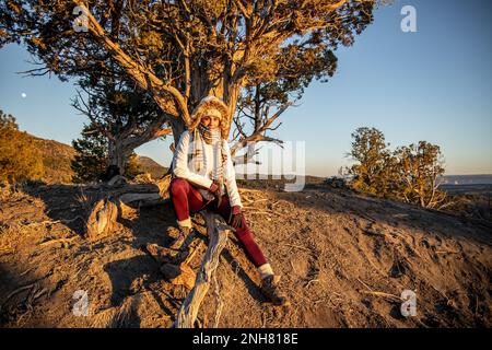 Escursioni in una zona di vita di foresta di conifere, lo Zion National Park è un parco nazionale americano situato nello Utah sud-occidentale vicino alla città di Springdale. Foto Stock