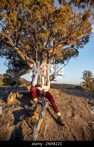 Escursioni in una zona di vita di foresta di conifere, lo Zion National Park è un parco nazionale americano situato nello Utah sud-occidentale vicino alla città di Springdale. Foto Stock