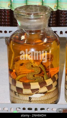 Serpenti e scorpioni in bottiglia nel vino e farmaci tradizionali in vendita, Ninh Kieu, Can Tho, Vietnam Foto Stock