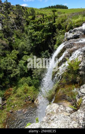 Ammira la cascata di Lisbona vicino a Graskop in Sudafrica Foto Stock