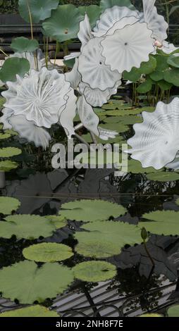 La scultura di Dale Chihuly White Persian Pond nella Waterlily House a Kew Gardens, Richmond, Inghilterra, Regno Unito Foto Stock