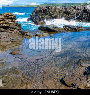 Piscine di marea sulle formazioni di Lava, Makaluapuna Point, Kapalua, Maui, Hawaii, STATI UNITI Foto Stock