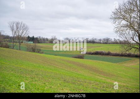 Campo agricolo con alberi e trattore con rimorchio in distanza durante le giornate nuvolose Foto Stock