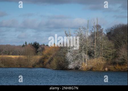 Acqua di Alton (serbatoio di Alton) in una giornata di sole nel mese di febbraio. Colori caldi di alberi, cielo blu. Foto Stock