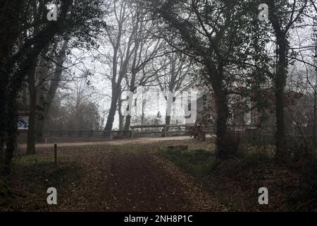 Ingresso ad un parco in una giornata di nebbia nella campagna italiana in inverno Foto Stock