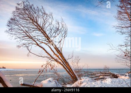 Bella serata tranquilla sul fiume Lielupe d'inverno. Tramonto sul fiume e gli alberi che sporgono dall'acqua, acqua calma e luce pittoresca. Lettonia. Foto Stock