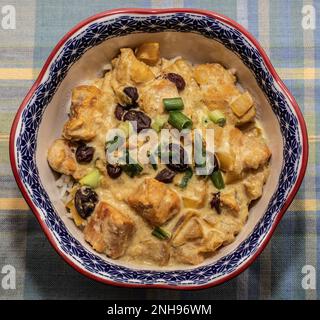 Curry di pollo con salsa di panna acida, mele, uvetta e cipolle verdi su riso al gelsomino in un grazioso recipiente rosso e blu su una tovaglia a plaid blu. Foto Stock