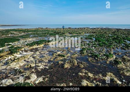 Piscine di gesso rock a Stone Bay, Broadstairs, kent in inverno Foto Stock