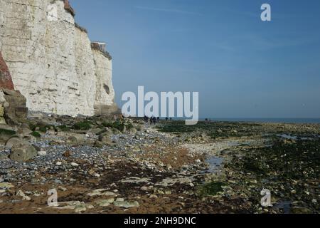 I visitatori camminano lungo la spiaggia di gesso a Stone Bay, Broadstairs, kent in inverno Foto Stock