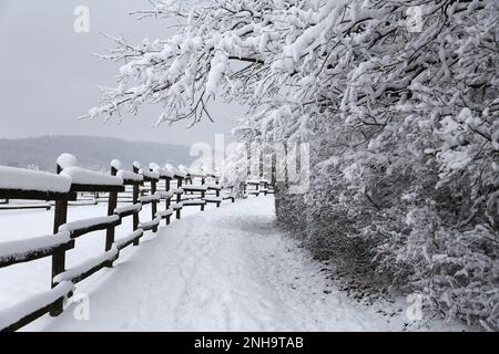 Paesaggio invernale con neve fresca su rurale staccionata in legno a fattoria degli animali Foto Stock