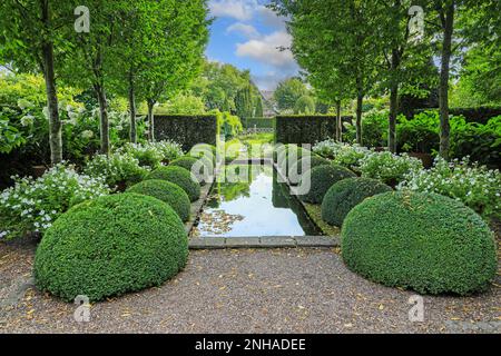 Lo stagno ed il topiary al giardino superiore del Rill a Wollerton vecchio giardino della Hall, Wollerton, Drayton del mercato, Shropshire, Inghilterra, REGNO UNITO Foto Stock