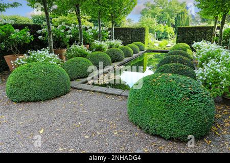 Lo stagno ed il topiary al giardino superiore del Rill a Wollerton vecchio giardino della Hall, Wollerton, Drayton del mercato, Shropshire, Inghilterra, REGNO UNITO Foto Stock