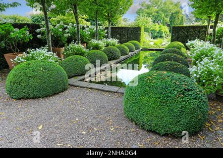 Lo stagno ed il topiary al giardino superiore del Rill a Wollerton vecchio giardino della Hall, Wollerton, Drayton del mercato, Shropshire, Inghilterra, REGNO UNITO Foto Stock