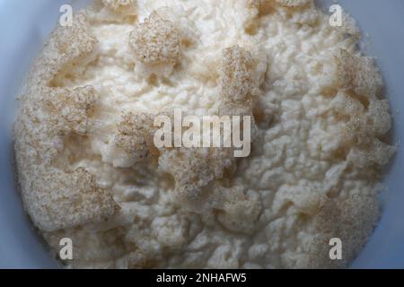 Lievito di birra in fermentatore di plastica rotondo - concetto di produzione di birra a casa Foto Stock